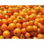 400 PCS Seeds Giant Sweet Yellow Tomato