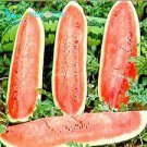 20 PCS Seeds Giant Watermelon 20 PCS Seeds Giant Watermelon