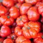 100 PCS Seeds Gigantomo Tomato Giant Tomatoes