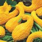 8 PCS Seeds Gold 'Swan' Pumpkin Ornamental Edible Cucurbita