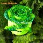50 PCS Seeds Golden Green Rose