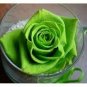 50 PCS Seeds Golden Green Rose