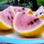 10 PCS Seeds Golden Midget Small Watermelon yellow