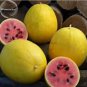 10 PCS Seeds Golden Midget Small Watermelon yellow