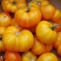 300 PCS Seeds Golden Tomato with Green Stripe F2 Tomato