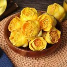 50 PCS Seeds Golden Yellow Rare Camellia Nitidissima Bonsai 50 PCS Seeds Golden Yellow Rare Camellia Nitidissima Bonsai