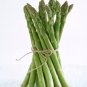 20 PCS Seeds Green Asparagus