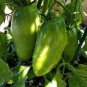 30 PCS Seeds Green 'Banana' Tomato