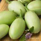 60 PCS Seeds Green Fat Eggplant Seed Chinese Vegetable Organic Aubergine