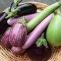 60 PCS Seeds Green Fat Eggplant Seed Chinese Vegetable Organic Aubergine