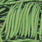 25 PCS Seeds Green Kidney Bean Organic Vegetable