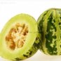 20 PCS Seeds Green Muskmelon Sweet Melon