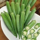 100 PCS Seeds Green Okra Clemsons Spineless Red gumbo Herb Vegetable