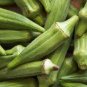 100 PCS Seeds Green Okra Clemsons Spineless Red gumbo Herb Vegetable