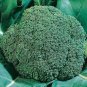 60 PCS Seeds Green Organic Broccoli Heirloom Vegetables
