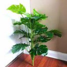 100 PCS Seeds Green Palm Turtle Leaves Monstera