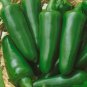 500 PCS Seeds Green Pickled Bubble Hot Chili Peppers