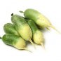 60 PCS Seeds Green Radish Seed Best Garden Plants Vegetable