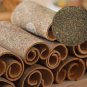 6 PCS Seeds Green Tree Cinnamon