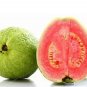 100 PCS Seeds Guava
