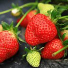 300 PCS Seeds hailand Strawberry ‘Kiwi’ Seed Organic Sweet Fruit 300 PCS Seeds hailand Strawberry ‘Kiwi’ Seed Organic Sweet Fruit