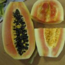 6 PCS Seeds Hainan Yellow Skin Yellow Inside Papaya Fruits 6 PCS Seeds Hainan Yellow Skin Yellow Inside Papaya Fruits