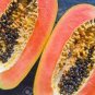 6 PCS Seeds Hainan Yellow Skin Yellow Inside Papaya Fruits