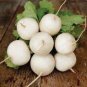 200 PCS Seeds Hakurei F1 Turnip
