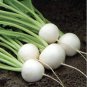 200 PCS Seeds Hakurei F1 Turnip