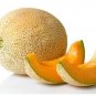 8 PCS Seeds Hami Melon Sweet Honey-Dew Melon
