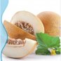 8 PCS Seeds Hami Melon Sweet Honey-Dew Melon