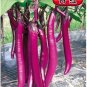 200 PCS Seeds Hangzhou Red Long Eggplant F1 Vegetable