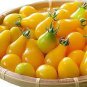 300 PCS Seeds Harbin Yellow Pear Cherry Tomato