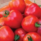 100 PCS Seeds Heart-Shaped Tomatoberry Garden Tomato Hybrid 100 PCS Seeds Heart-Shaped Tomatoberry Garden Tomato Hybrid