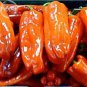 50 PCS Seeds Heirloom 'Cubanelle' Pepper Green Red Orange Sweet Pepper