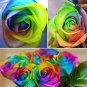 50 PCS Seeds Heirloom 'Hot Wheels' 5-color Rose Seedling Flower