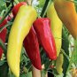 20 PCS Seeds Heirloom Allochroic Pod Pepper