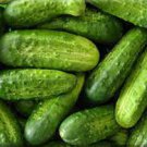 50 PCS Seeds Heirloom Autumn Spiny Little Cucumber 50 PCS Seeds Heirloom Autumn Spiny Little Cucumber