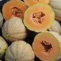 100 PCS Seeds He Melon Orange
