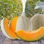 100 PCS Seeds He Melon Orange