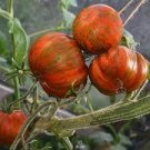100 PCS Seeds Heirloom Big Chocolate Stripes Tomato Hybrid