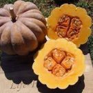 10 PCS Seeds Heirloom Black Futsu Squash Vegetable Organic 10 PCS Seeds Heirloom Black Futsu Squash Vegetable Organic