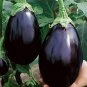 30 PCS Seeds Heirloom Black Round Eggplant