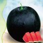 6 PCS Seeds Heirloom Black Round Red Seedless Watermelon