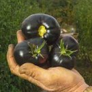 25 PCS Seeds Heirloom Black Tomato Middle-sized Fruit 25 PCS Seeds Heirloom Black Tomato Middle-sized Fruit