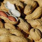 5 PCS Seeds Heirloom Carwile's Virginia Peanut 5 PCS Seeds Heirloom Carwile's Virginia Peanut