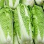 30 PCS Seeds Heirloom Chinese Cabbage Wong Bok Vegetable
