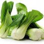 30 PCS Seeds Heirloom Chinese Cabbage Wong Bok Vegetable