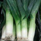 50 PCS Seeds Heirloom Chinese Green Leek Vegetables