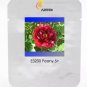 5 PCS Seeds Heirloom Dark Red Middle Peony Tree Flower